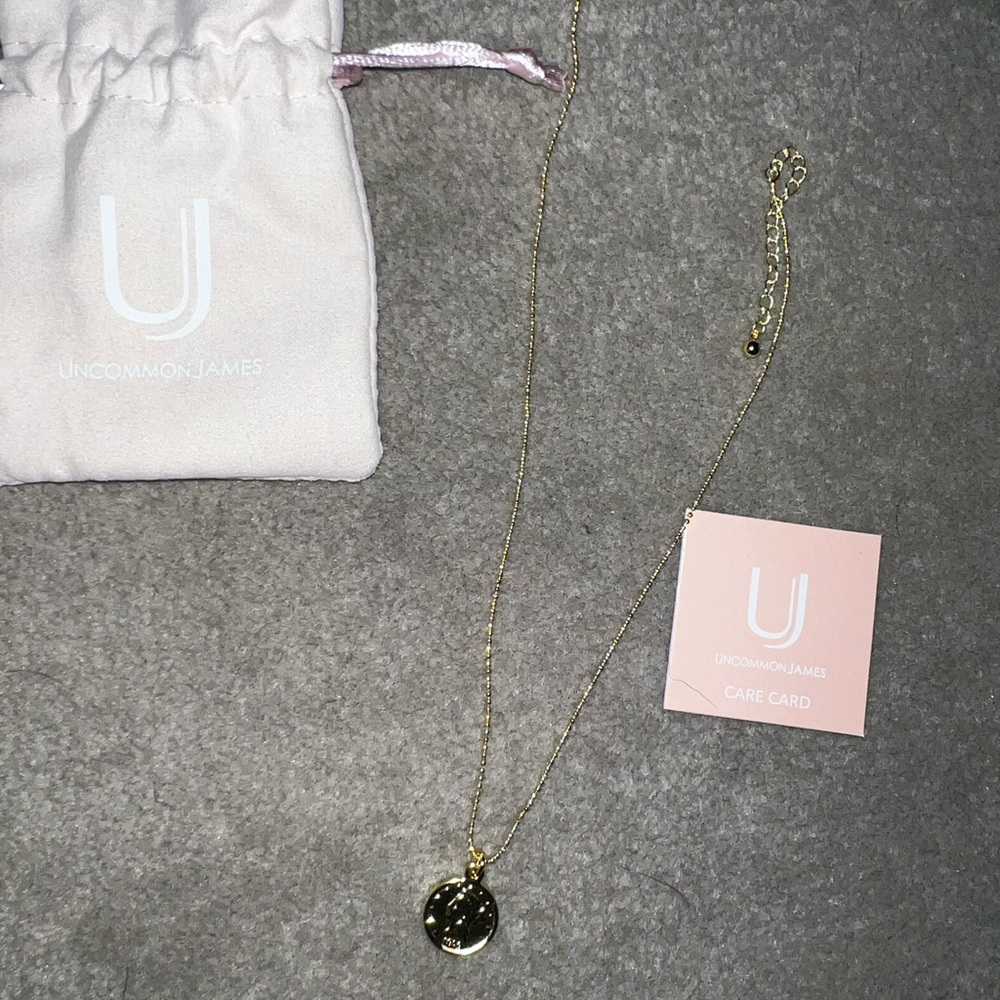 Uncommon James Lady Liberty Coin Necklace